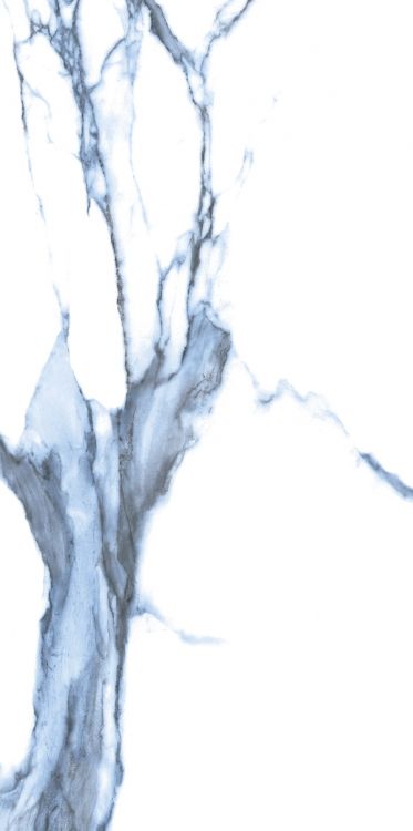 Calacatta Blue Matte 12 x 24